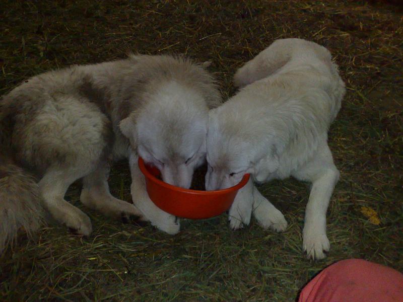 02102008174.jpg