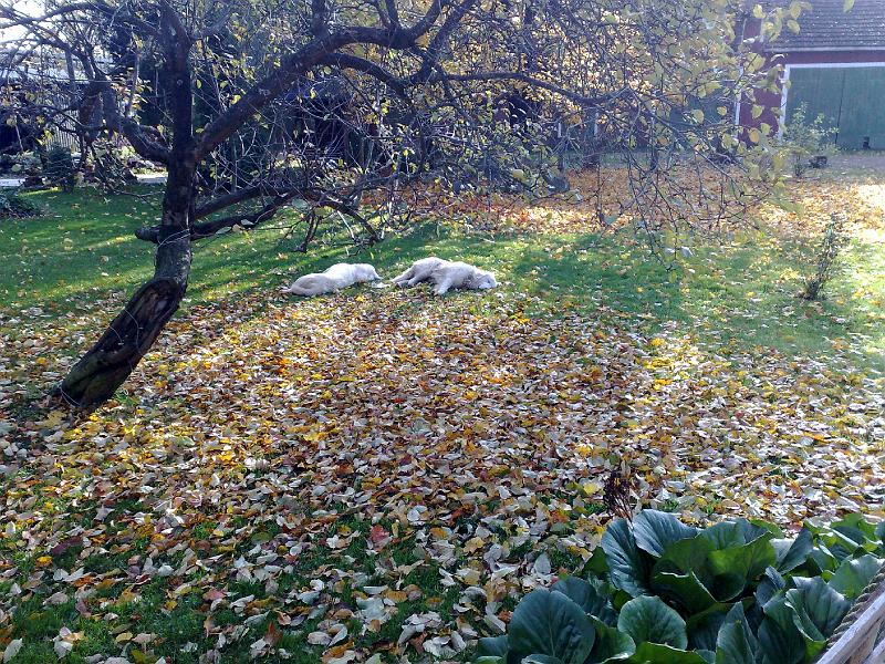 06102008236.jpg