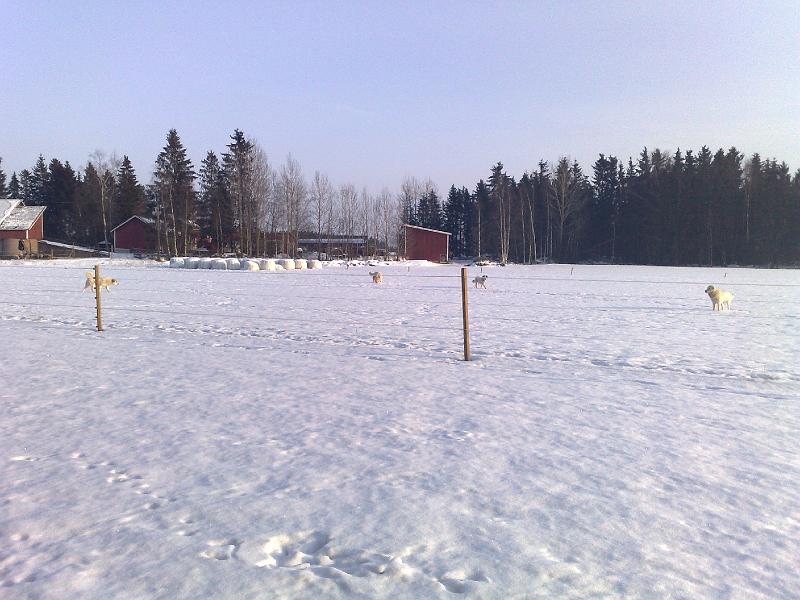 19022009496.jpg
