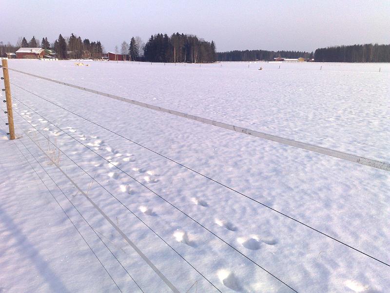 19022009499.jpg